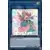 Duel Surchargé DUOV - Harmoniste Florale la Compositrice de Musique