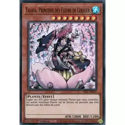 Talaya, Princesse des Fleurs de Cerisier