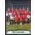 Equipe (puzzle 1) - Nimes Olympique