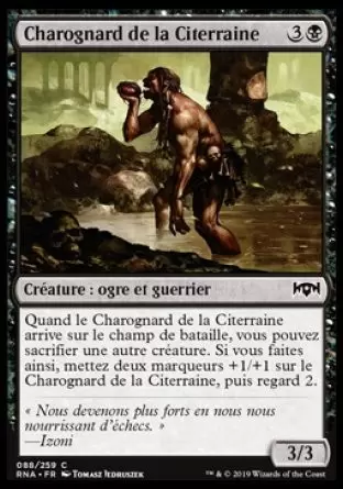L\'allégeance de Ravnica - Charognard de la Citerraine Foil