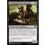 L\'allégeance de Ravnica - Charognard de la Citerraine Foil