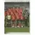 Equipe - En Avant de Guingamp