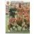 Equipe - Racing Club de Lens