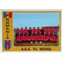 A.S.A. TG. Mures (Team) - Romania
