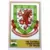 Football Federation - Wales