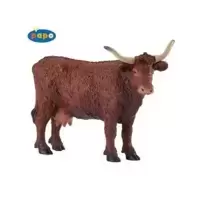Vache salers