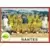 Foot 1995 en images - Equipe Nantes