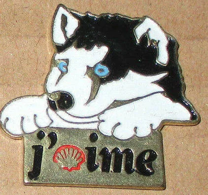 Shell - Chien