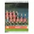 Foot 2009 - Saison 2008-2009 - Equipe - LOSC Lille Metropole