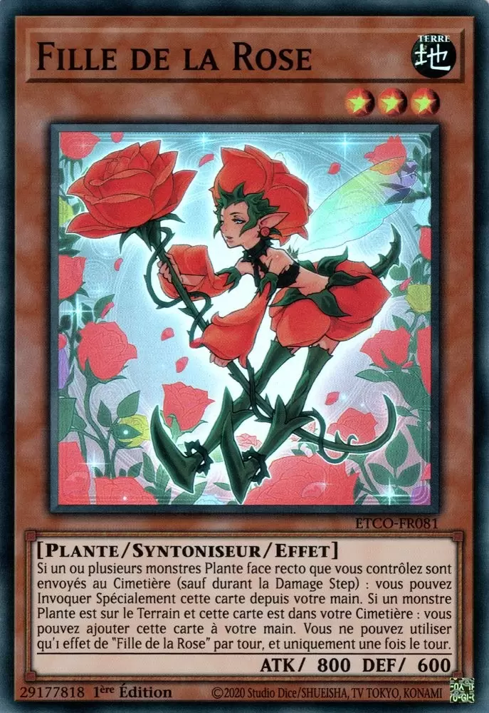 Le Code de l\'Éternité ETCO - Fille de la Rose