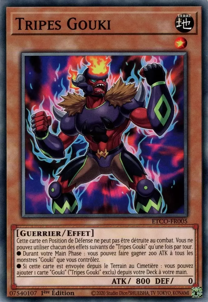 Le Code de l\'Éternité ETCO - Tripes Gouki