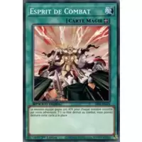 Esprit de Combat