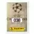 UEFA Champions League 1999-2000 - Frederic Dehu - FC Barcelona