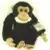 Webkinz Signature - Chimpanzee Signature