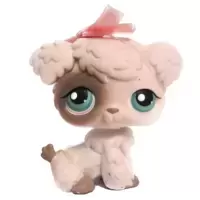 LPS 204