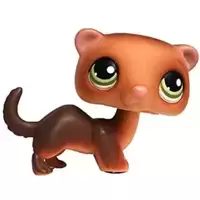 LPS 209