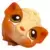LPS 213