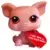 LPS 276