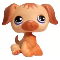 LPS 286