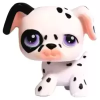 LPS 297