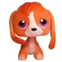 LPS 301