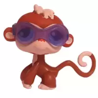LPS 304