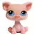 LPS 305