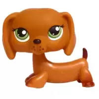 LPS 307