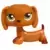 LPS 307