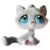 LPS 310