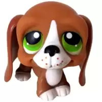 LPS 312