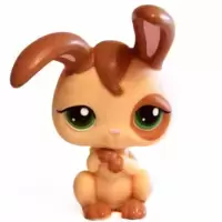 LPS 313