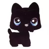 LPS 315