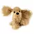 American Cocker Spaniel
