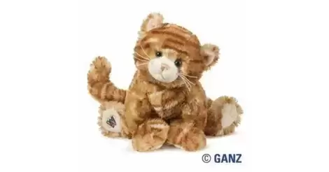 Webkinz deals ginger cat