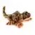 Webkinz Regular - Leopard Lizard