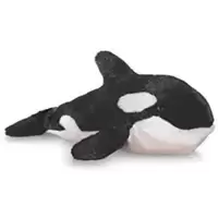 Orca Whale