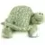 Spotted Turtle