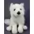 Arctic Fox Signature