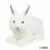 Arctic Hare Signature