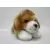 Beagle Small Signature