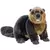 Beaver Signature