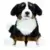 Bernese Mountain Dog Signature
