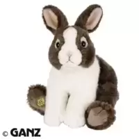 Dutch Bunny Signature