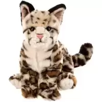 Webkinz signature hotsell bengal cat