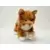 Webkinz Signature - Orange Tabby Signature