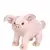 Pig Signature