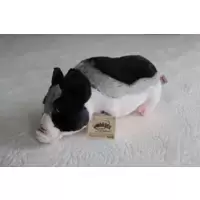 Pot Bellied Pig Signature