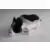 Pot Bellied Pig Signature