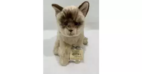 Webkinz signature ragdoll clearance cat